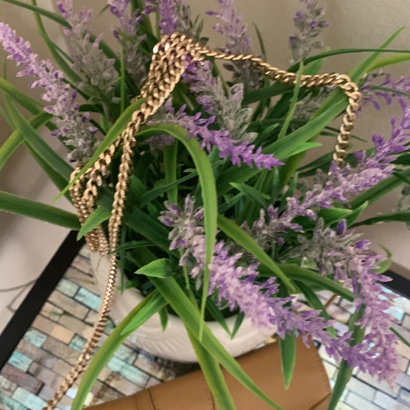 New Without SeeTag by Chloe  Hana Large Leather Wallet on a Chain - Picture 9 of 17